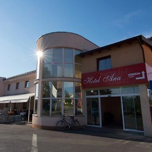 Hotel Ana